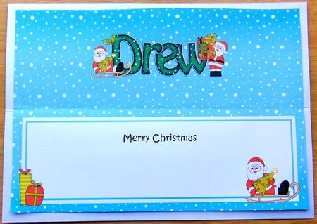Large Dl Christmas Drew Santa Insert by Joyce Watson