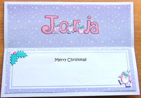 Large Dl Christmas Jorja Penguin Insert by Joyce Watson
