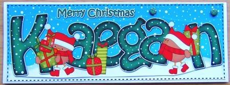 Large Dl Christmas Kaegan Robin 3D Decoupage by Joyce Watson