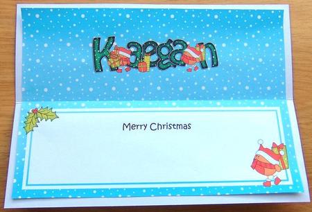 Large Dl Christmas Kaegan Robin Insert by Joyce Watson