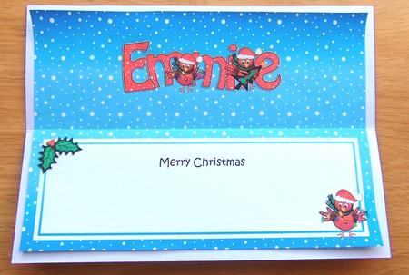 Large Dl Christmas Emmie Robin Insert by Joyce Watson