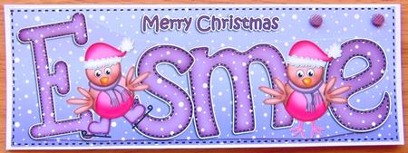 Merry Christmas Esme Robins Large Dl & 3D Decoupage by Joyce Watson