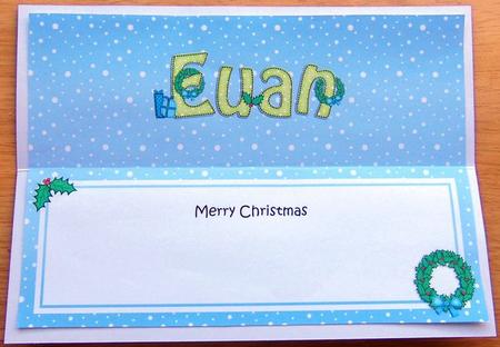 Large Dl Christmas Euan Insert by Joyce Watson