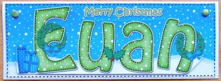 Large Dl Christmas Euan 3D Decoupage by Joyce Watson