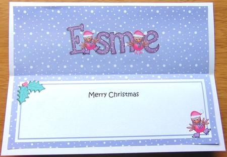 Merry Christmas Esme Robins Matching Large Dl Insert by Joyce Watson