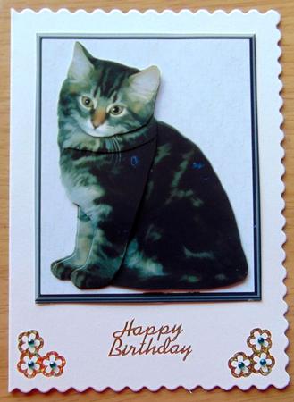 Tabby Kitten 3D Decoupage by Joyce Watson