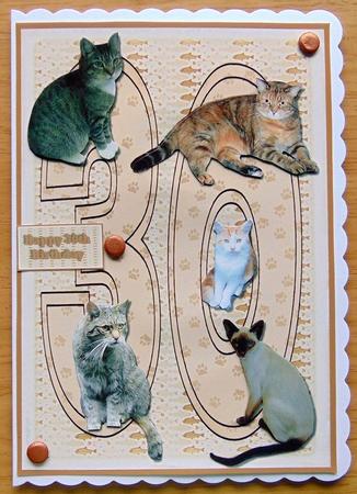 Cats 30th 3D Decoupage by Joyce Watson