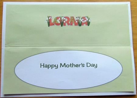 Mothers Day Snowdrops Lorna Large Dl Insert by Joyce Watson