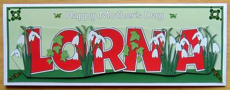 Mothers Day Snowdrops Lorna Large Dl by Joyce Watson