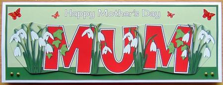 Mothers Day Snowdrops Mum Large Dl by Joyce Watson