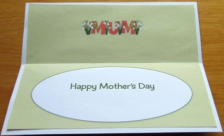 Mothers Day Snowdrops Mum Large Dl Insert by Joyce Watson
