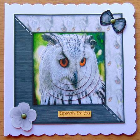 Owl Watercolour 6x6 Card Front & Decoupage by Joyce Watson