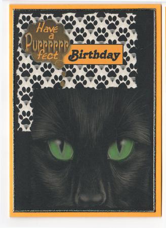 Prrrfect Birthday Card Topper by Susan Schmidt