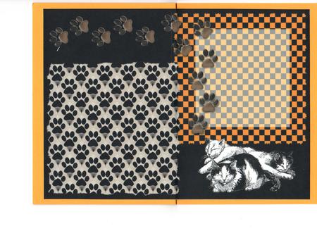 Prrrfect Birthday Card Insert by Susan Schmidt