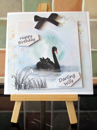 Birthday by Alan Corker