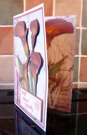 Wild Lily Backing Paper Red by Alan Corker