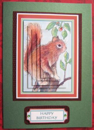 Red Squirrel Pyramage by Ali Sherman