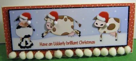 Coos at Christmas Cut and Fold by Ali Sherman