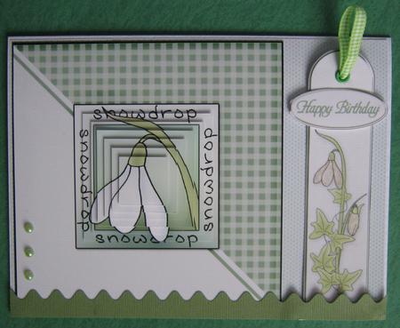 Snowdrops Quick Card with Pyramage by Ali Sherman