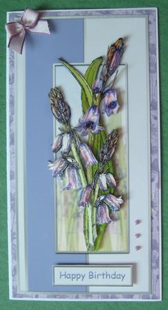 Bluebells in Blue by Ali Sherman
