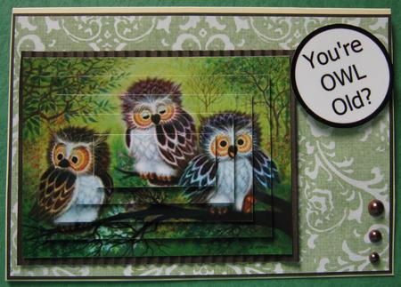 Three Wise Owls by Ali Sherman