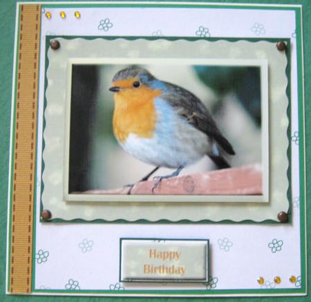 A Little Bird Told Me 1 by Ali Sherman