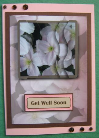 Clematis Flower Arrangement by Ali Sherman