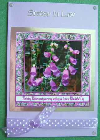 Foxy Lady Foxgloves by Ali Sherman