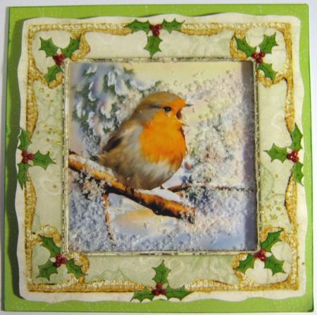 Christmas Robin Shaker 4 x 4 Square Card by Ali Sherman