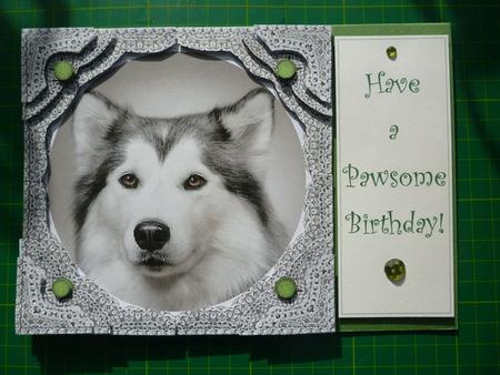 Husky Puppy Dog - Lace Framed Corner Stacker by Alice Morland