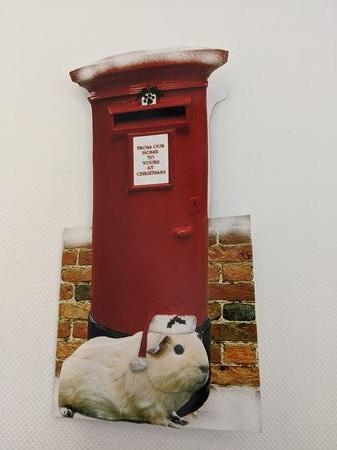 Guinea Pig Christmas Post Box Featured Gallery Photo