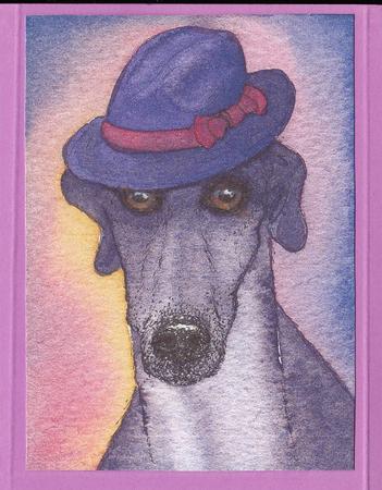 Greyhound Dog Wearing Trilby Hat by Ali Wade