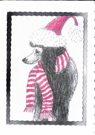 This Black Poodle Was Ready for the Slopes by Ali Wade