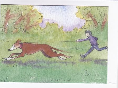 Greyhound Dog Takes His Hoomun for an Early Morning Run by Ali Wade