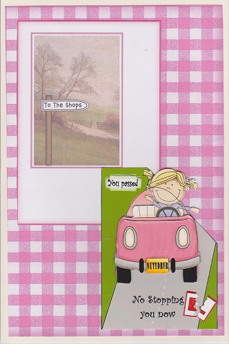 Girl Driving Test Passed Over the Corner by Ali Wade