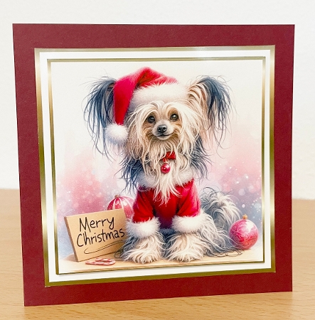 christmas crested dog by Allen Bowen