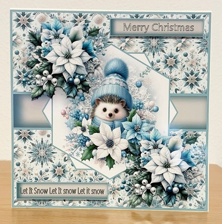 blue poinsettias hedgehog by Allen Bowen