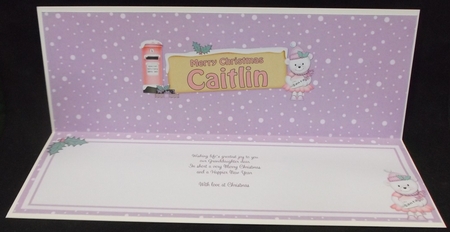 Xmas Caitlin Teddy Tess Signpost Large Dl Matching Insert by Allen Bowen