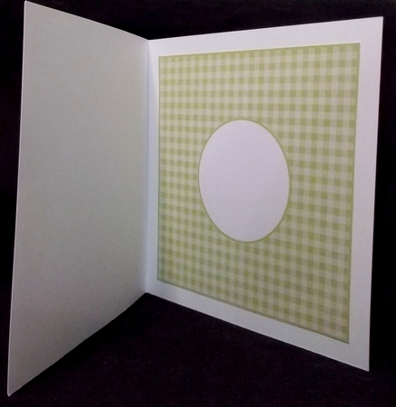 Baby Gingham Green Insert 8x8 by Allen Bowen