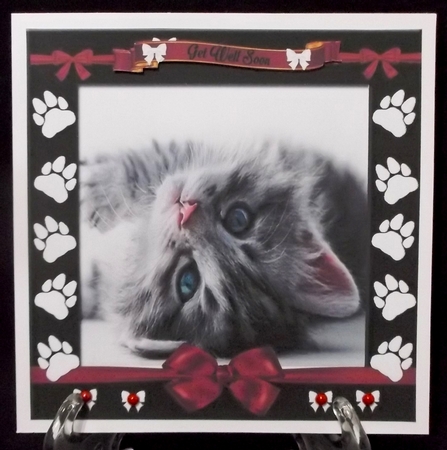Precious Kitten Birthday/ Get Well card front by Allen Bowen