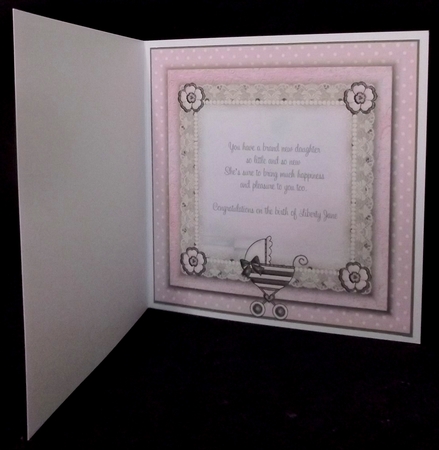 Insert to compliment Baby Girl Pram cup588296_1483 by Allen Bowen