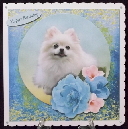 Pomeranian Floral Portrait Mini Kit by Allen Bowen