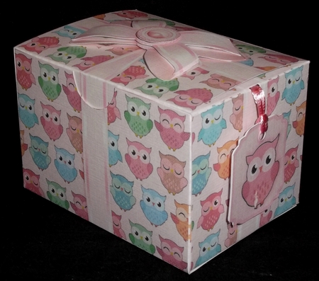Gift Box Cute Owls Pattern with Bow Decoupage by Allen Bowen
