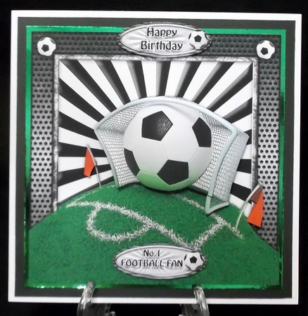 Football Fan by Allen Bowen
