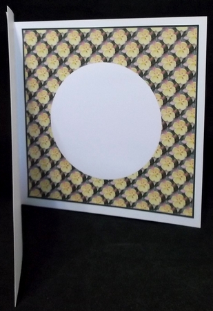 Aquilegia Insert by Allen Bowen
