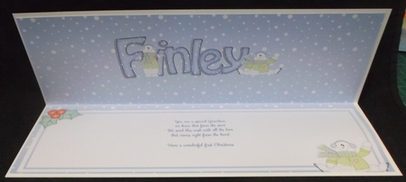 Large DL Merry 1st Christmas FINLEY insert by Allen Bowen