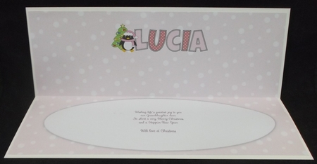 Eddie the Penguin LUCIA large dl insert by Allen Bowen