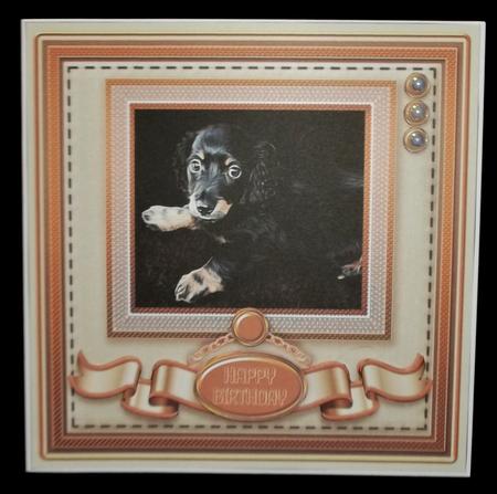 Mini Longhair Dachshund Puppy 8in x 8in Quick Card by Allen Bowen