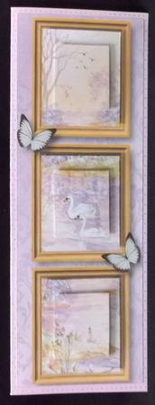 Swan Lake Frame Trio Large Dl by Allen Bowen