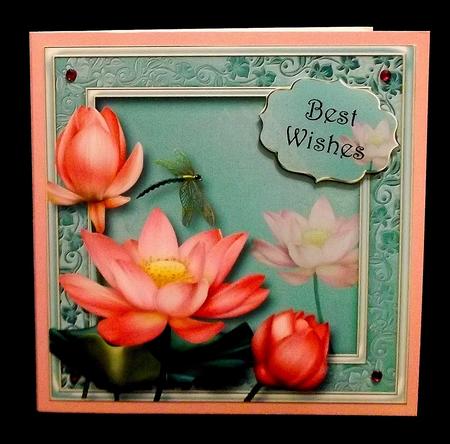 Lovely Waterlilies 8x8 Quick Topper by Allen Bowen